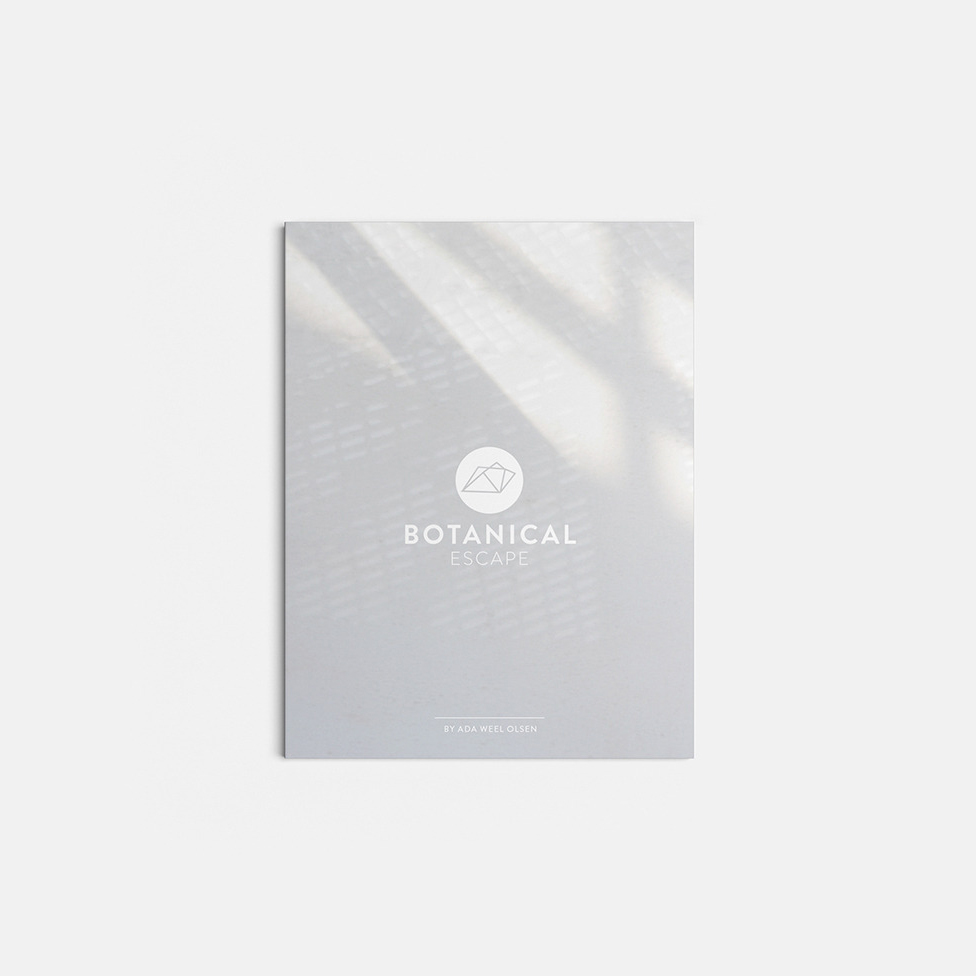 Project .01