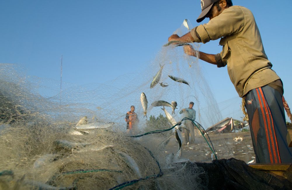 Nelayan Go Digital Bersama FishGo